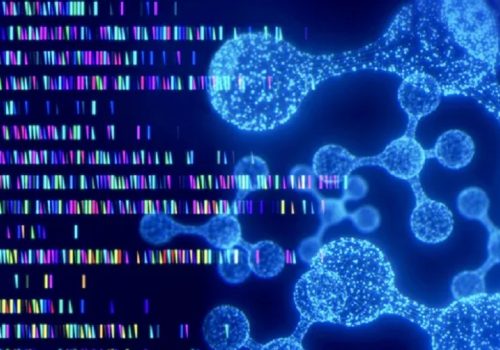 वैज्ञानिकहरुले बनाए जेनेटिक म्युटेशनको प्रभावहरूको भविष्यवाणी गर्न सक्ने एआई मोडल ‘इभो’,