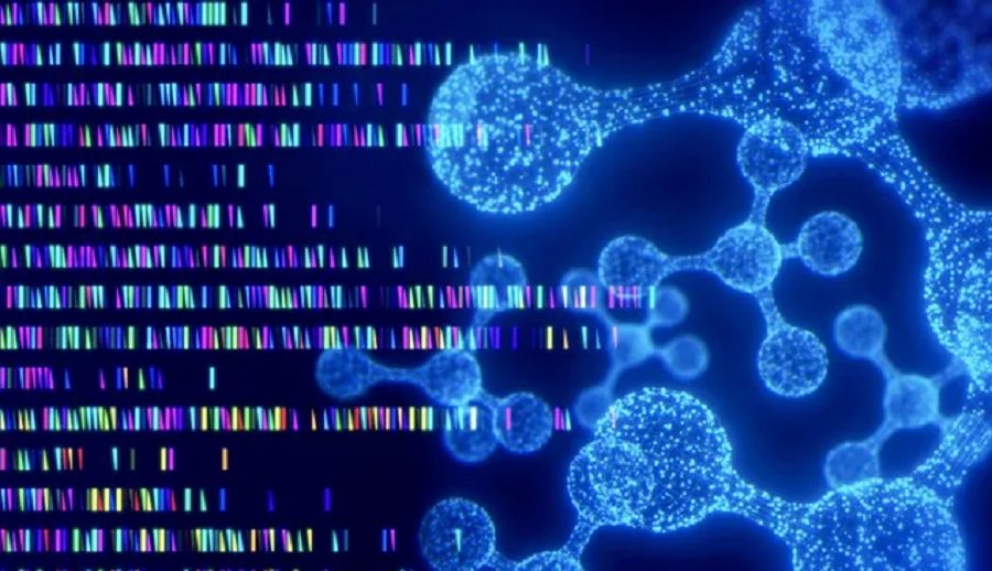 वैज्ञानिकहरुले बनाए जेनेटिक म्युटेशनको प्रभावहरूको भविष्यवाणी गर्न सक्ने एआई मोडल ‘इभो’,