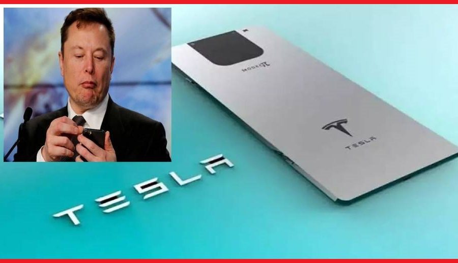 के इलन मस्कले साँच्चै ‘पाई फोन’ नामक स्मार्टफोन ल्याउन लागेका हुन्? यस्तो छ तथ्य