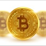 बिटक्वाइनको सन् २०१८ देखिको नाफाको गति अक्टोबरमा आएर रोकियो
