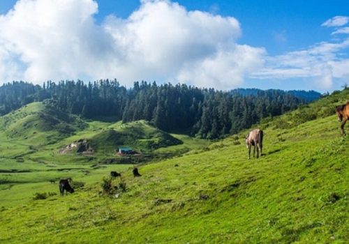 खप्तड राष्ट्रिय निकुञ्जमा अहिलेसम्म विद्युत् नहुँदा टेलिफोन सम्पर्कमा समस्या