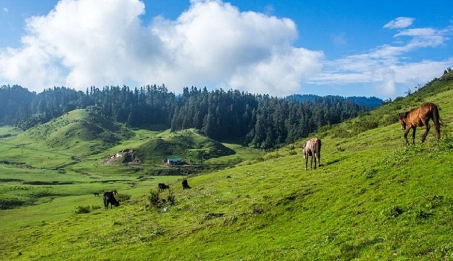 खप्तड राष्ट्रिय निकुञ्जमा अहिलेसम्म विद्युत् नहुँदा टेलिफोन सम्पर्कमा समस्या