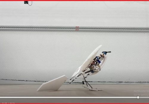 गिद्धजस्तो उड्न, हिँड्न र उफ्रिन सक्ने पक्षी-आकारको रोबोट सार्वजनिक, यस्ता छन् विशेषता