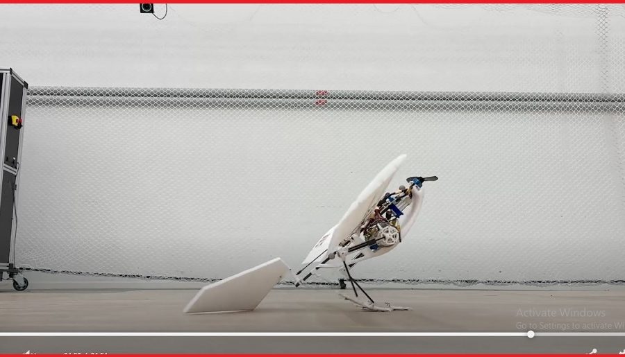 गिद्धजस्तो उड्न, हिँड्न र उफ्रिन सक्ने पक्षी-आकारको रोबोट सार्वजनिक, यस्ता छन् विशेषता