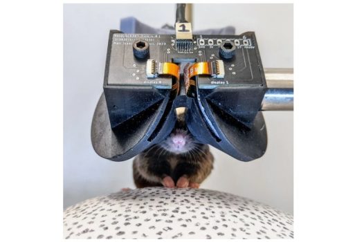 मुसाका लागि पनि बन्यो ‘भीआर ग्लासेस’, यस्तो छ कारण