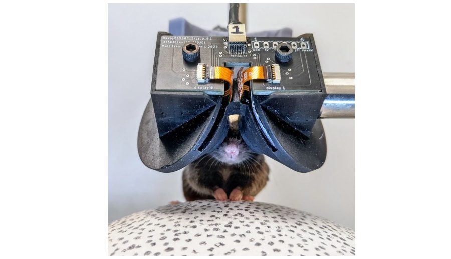 मुसाका लागि पनि बन्यो ‘भीआर ग्लासेस’, यस्तो छ कारण