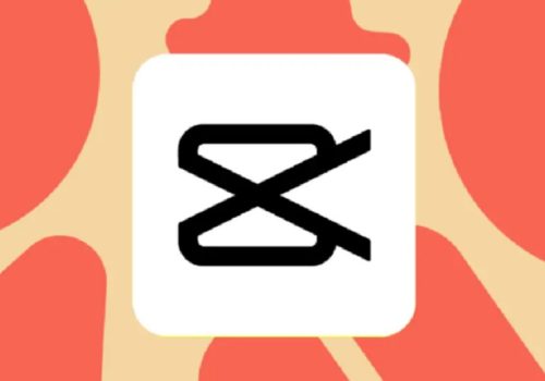 टिकटकको प्रतिबन्ध हटे पनि क्यापकटलगायत एपमाथिको प्रतिबन्ध कायमै