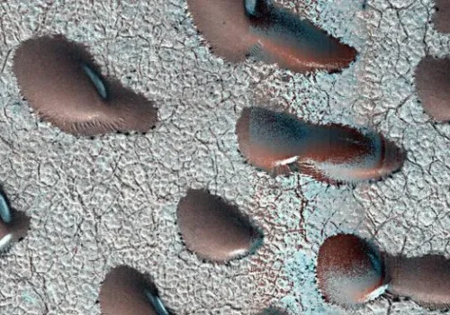 मंगल ग्रहको सतहमा देखिएका यी भयंकर सिमीका दानाजस्ता वस्तु के हुन्? के त्यहाँ विरुवा हुर्कन सम्भव छ? यस्तो छ तथ्य