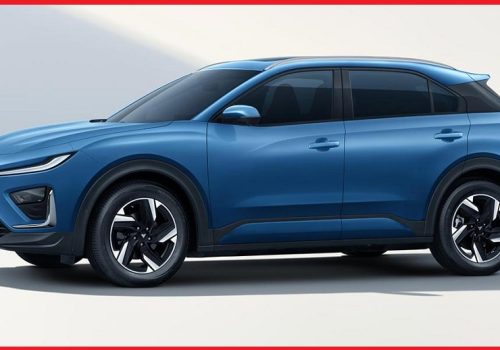 यस्तो छ थाईल्यान्डमा निटाको उपस्थिति