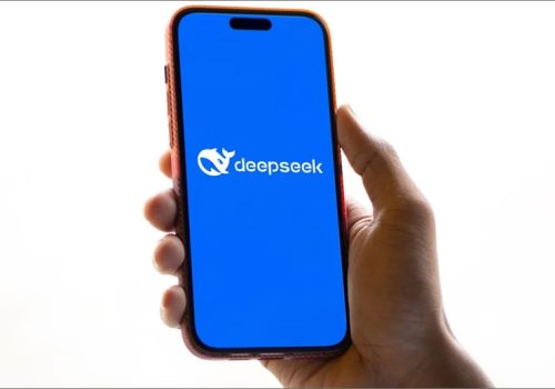 डीपसिकको सम्वेदनशील डाटा इन्टरनेटमा बाहिरिएको साइबर सुरक्षा कम्पनी विजको खुलासा