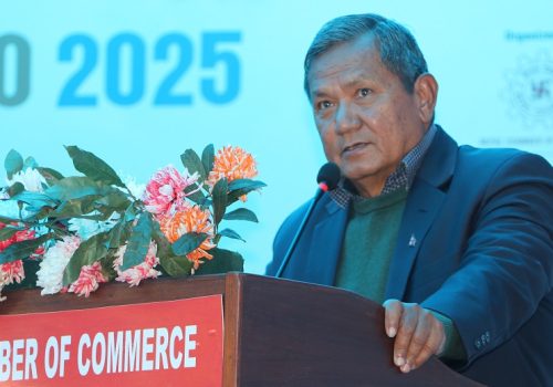 IT to forward economic development: Minister Gurung