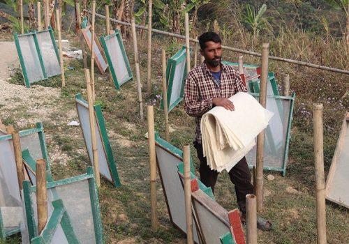 डिजिटल मिडियाको प्रभाव: इन्टरनेटमा हेरेकै भरमा केराको खम्बाबाट कागज उत्पादन