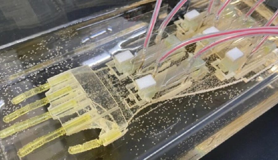 जापानी अनुसन्धानकर्ताहरूले बायोहाइब्रिड रोबोटिक आर्म विकास गरे