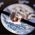 स्याटेलाइट इन्टरनेट क्षेत्रमा स्टारलिंक एक्लै रहेन, प्रतिस्पर्धामा उत्रिए शक्तिशाली चिनियाँ कम्पनीहरु