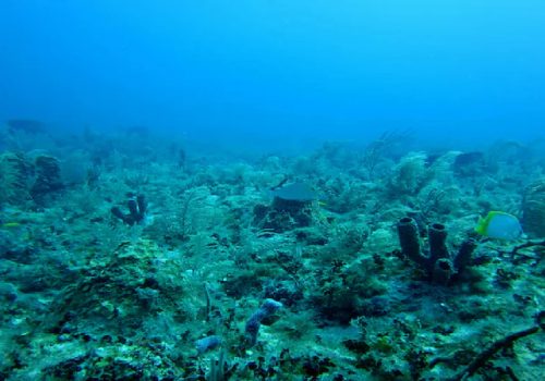 डार्क अक्सिजनः समुद्रमा हजारौं फिट गहिराईमा ग्यास भेटिएपछि शुरु भयो वैज्ञानिक बहस