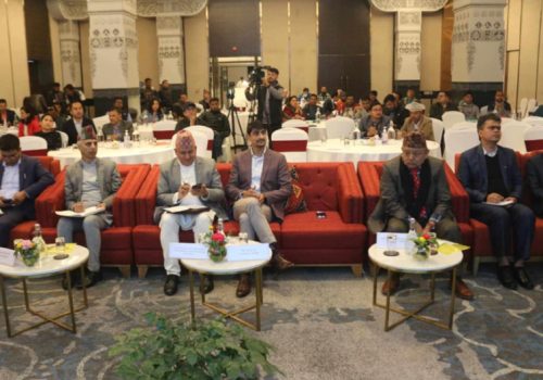 ‘रेडियो फ्रिक्वेन्सी बाँडफाँटमा स्पष्टता आवश्यक’