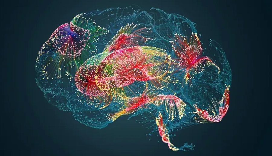 मानिसहरुले मानसिक स्वास्थ विज्ञभन्दा एआईलाई बढी संवेदनायुक्त मान्ने गरेको अध्ययनको खुलासा