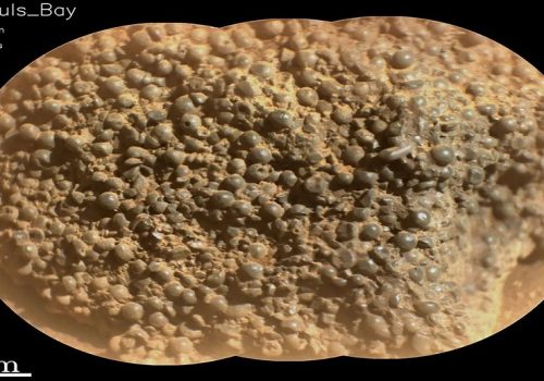 नासाको पर्सिभेरन्स रोभरले मङ्गल ग्रहमा फेला पार्यो स-साना गोलाकार संरचना जडिएको अर्को अनौठो ढुंगा