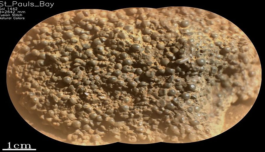 नासाको पर्सिभेरन्स रोभरले मङ्गल ग्रहमा फेला पार्यो स-साना गोलाकार संरचना जडिएको अर्को अनौठो ढुंगा