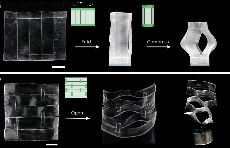 वैज्ञानिकहरूले तयार पारे मानव छाला जस्तै निको पार्ने शक्ति भएको हाइड्रोजेल