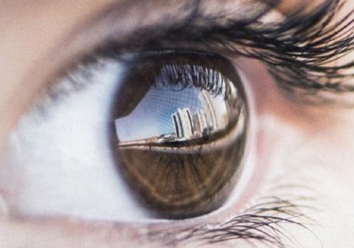 सन् २०२५ को अन्त्यसम्ममा न्यूरालिङ्कले ‘जन्मजात दृष्टिविहीन मानिसहरूलाई देख्न सक्ने बनाउने चिप’ प्रत्यारोपण गर्ने