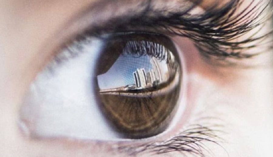 सन् २०२५ को अन्त्यसम्ममा न्यूरालिङ्कले ‘जन्मजात दृष्टिविहीन मानिसहरूलाई देख्न सक्ने बनाउने चिप’ प्रत्यारोपण गर्ने