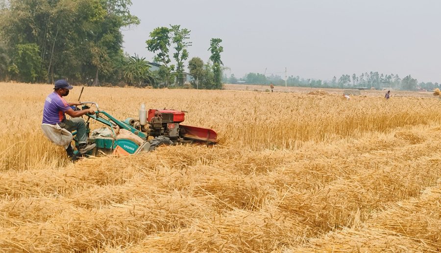 रोपाहार पाउन छाडेपछि कृषि क्षेत्रमा प्रविधिको प्रयोग बढ्दो