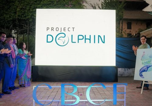 Cimex BYD Charity Foundation (CBCF) announces Project Dolphin on World Aquatic Animal Day