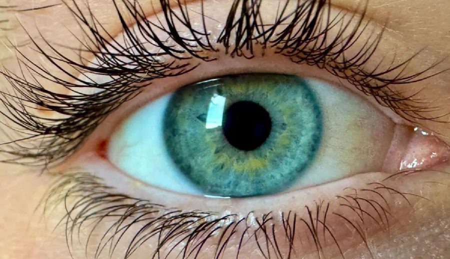 पहिले कहिल्यै नदेखेको ‘नयाँ रङ’ पत्ता लागेको वैज्ञानिकहरूको दाबी