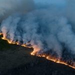 वनजंगल आगो नियन्त्रणमा नयाँ प्रविधिः एआई आधारित पूर्वानुमानमा ८६ प्रतिशत सटिकता