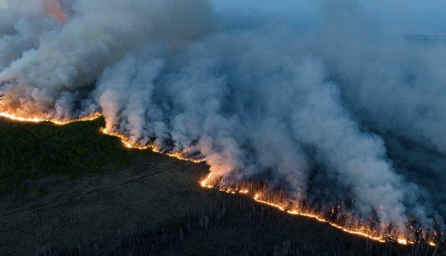 वनजंगल आगो नियन्त्रणमा नयाँ प्रविधिः एआई आधारित पूर्वानुमानमा ८६ प्रतिशत सटिकता
