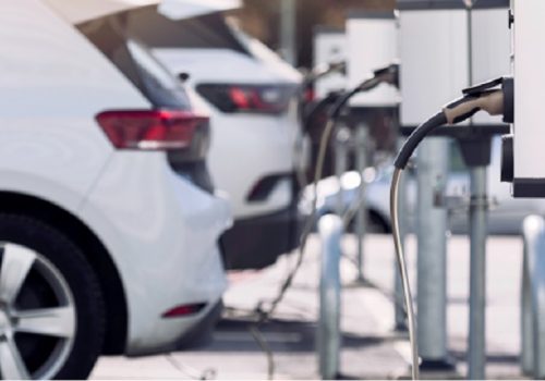 Sri Lanka asks EV owners to unplug at night