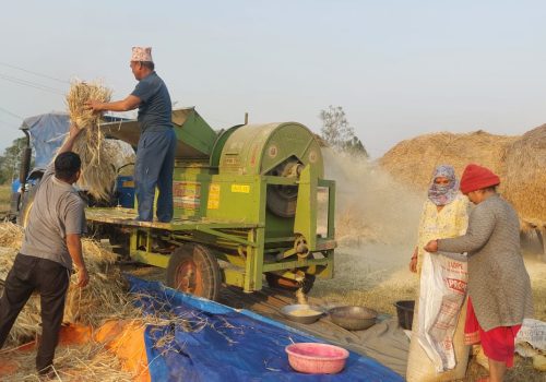 दाङका किसान खेतीमा यन्त्रको प्रयोग बढाउँदै