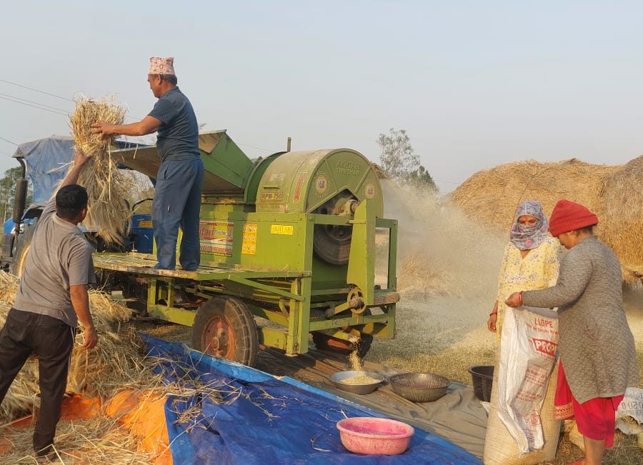 दाङका किसान खेतीमा यन्त्रको प्रयोग बढाउँदै
