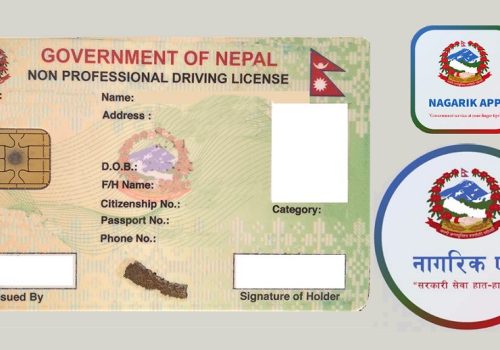 सजिलै ट्राफिक जरिबाना तिर्न मिल्ने ई–चलान के हो? के के छन् यसका सुविधा?