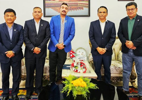 विद्युतीय तथा हाइब्रिड सवारी साधनका लागि विशेष कर्जा सुविधा दिन गभर्नर समक्ष नाडाको माग