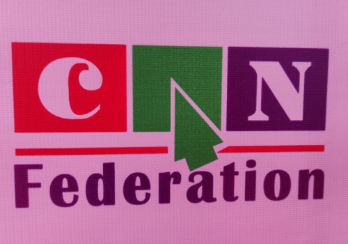 आईटी क्षेत्रकै संस्था क्यान महासङ्घले भन्यो- सामाजिक सञ्जाल निष्क्रिय गराउने कार्यमा सरकारलाई समर्थन छ