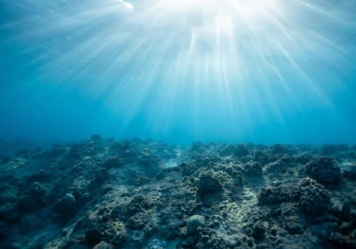 पानीमुनि हराएको सभ्यता! १ लाख ४० हजार वर्ष पुरानो होमो इरेक्टस खोपडीमा यसको उत्तर हुन सक्ला?