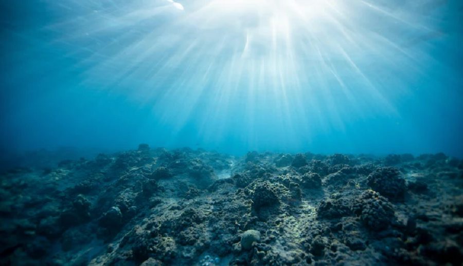 पानीमुनि हराएको सभ्यता! १ लाख ४० हजार वर्ष पुरानो होमो इरेक्टस खोपडीमा यसको उत्तर हुन सक्ला?