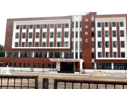 नार्कका ७ वैज्ञानिकसहित ११ कर्मचारी अध्ययन बिदा पश्चात फर्किएनन्, सार्वजनिक सूचना जारी