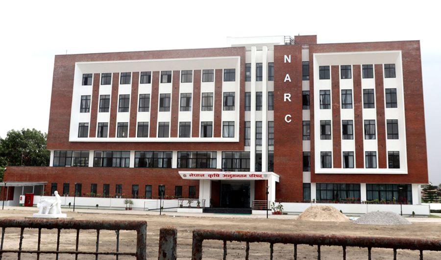 नार्कका ७ वैज्ञानिकसहित ११ कर्मचारी अध्ययन बिदा पश्चात फर्किएनन्, सार्वजनिक सूचना जारी