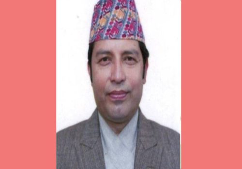 नीति तथा कार्यक्रममा स्मार्ट पर्यटन, स्टारलिंक सेवालगायतका डिजिटल पक्षहरु कतै भेटिएनन्: सांसद बजगाईँ