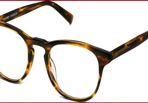 वारबाई पार्करसँग मिलेर एआई स्मार्टग्लास उत्पादन गर्न गुगलले १५ करोड डलर लगानी गर्ने