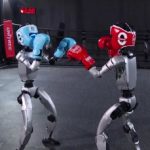 रोबोटहरू बक्सिङ प्रतियोगितामा रिङ्गमा भिड्दै