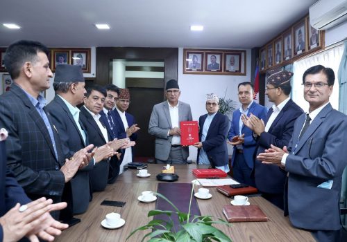 विद्युतीय सेवा करको दायरा बढाउन राजस्व परामर्श समितिको सुझाव