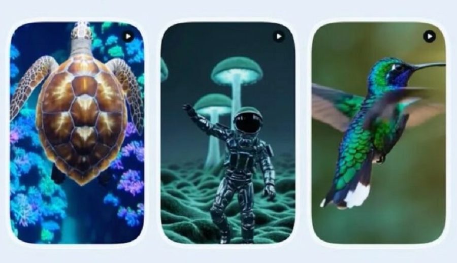 ओपनएआईले पनि एआईमा आधारित छोटा भिडियो सेयरिङ एप ल्याउने