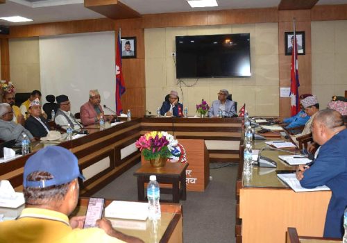 यातायात व्यवसायीसँग वार्ता सुरु