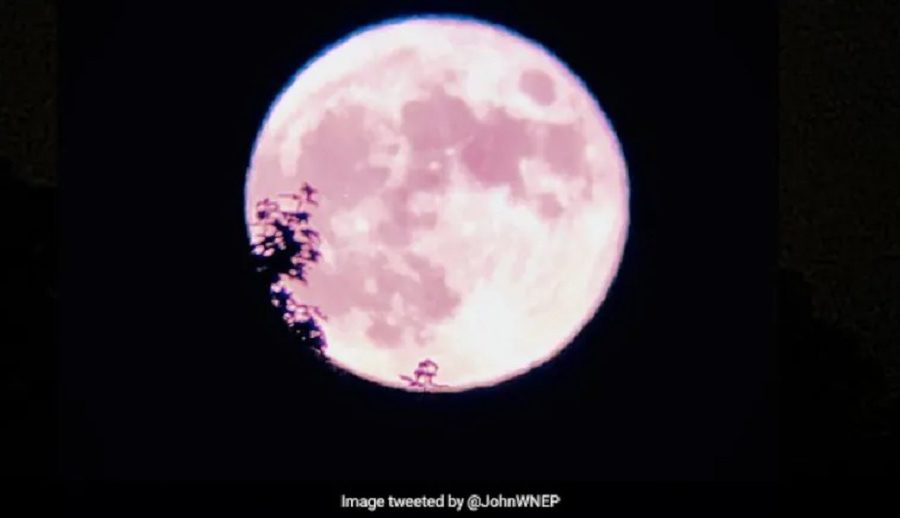 २० वर्षपछिको दुर्लभ पूर्णिमाः अर्थात ‘स्ट्रबेरी मुन २०२५’