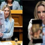 न्यूजील्याण्डकी महिला सांसदले आफैंले बनाएको एआई नग्न तस्बिर देखाइन संसदमा, कानूनको माग