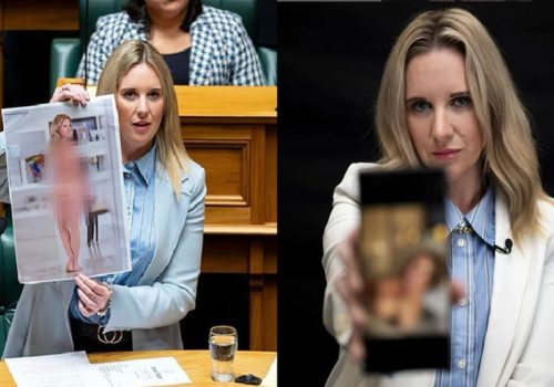 न्यूजील्याण्डकी महिला सांसदले आफैंले बनाएको एआई नग्न तस्बिर देखाइन संसदमा, कानूनको माग